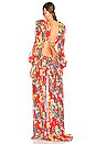 view 3 of 3 Flavia Maxi Dress in Red & Multi