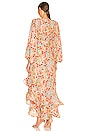 view 3 of 3 Luisa Maxi Dress in Multicolor