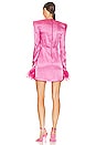 view 4 of 4 Nadine Mini Dress in Hot Pink