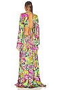 view 3 of 3 Jungle Miami Maxi Dress in Multicolor