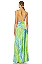 view 3 of 3 x Revolve Leo Maxi Dress in Multicolor