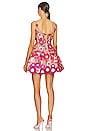 view 3 of 4 Jasmine Mini Dress in Pink & Floral