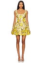 view 1 of 4 x REVOLVE Jasmine Mini Dress in Yellow