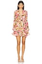 view 1 of 3 Bedouin Mini Dress in Rose Floral