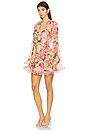 view 2 of 3 Bedouin Mini Dress in Rose Floral