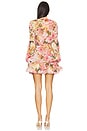 view 3 of 3 Bedouin Mini Dress in Rose Floral