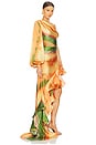 view 2 of 4 Hanna Horizon Gown in Orange Multi