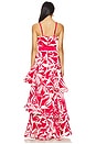 view 4 of 5 Sylvie Armonia Maxi Dress in Red Multi