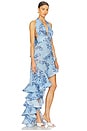 view 2 of 4 Bronte Poppy Maxi Dress in Blue Multi