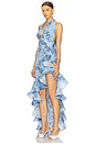 view 3 of 4 Bronte Poppy Maxi Dress in Blue Multi