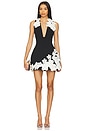 view 1 of 5 Estelle Mini Dress in Black & White