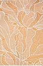 view 4 of 4 Maraya Arabella Lace Mini Dress in White