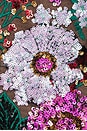 view 4 of 4 Dahlia Gown in Pink Multi