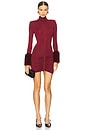 view 1 of 3 Eleanor Mini Dress in Burgundy