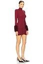 view 2 of 3 Eleanor Mini Dress in Burgundy