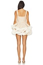 view 3 of 4 Catalina Mini Dress in Ivory