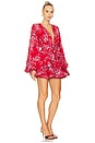 view 2 of 3 Bedouin Mini Dress in Red Multi
