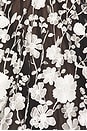 view 4 of 4 Greta Bouquet Midi Dress in Black & White