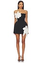 view 1 of 5 Jasmine Maraya Mini Dress in Black & White