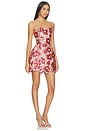 view 2 of 4 MINIVESTIDO RASPBERRY in Pink Multi