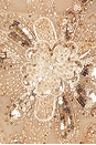 view 5 of 5 ROBE MAXI LAYLA in Nude