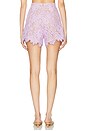 view 4 of 6 Capri Short in Lilac