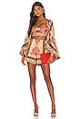 view 4 of 4 Runway Bedouin Flame Shorts in Red & Multicolor