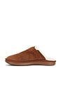 view 5 of 5 Amour Suede Shearling in Brown