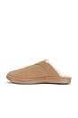 view 5 of 5 Amour Suede Shearling in Taupe