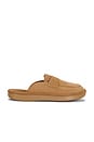 view 1 of 5 Loafer in Honey