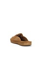 view 4 of 5 Loafer in Honey