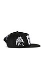 view 5 of 4 Boxing Hat in Black