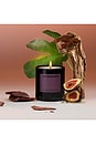 view 5 of 5 Woodphoria Scented Candle in 