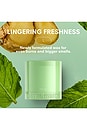 view 5 of 7 Minty Scented Candle in 