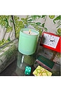 view 7 of 7 Minty Scented Candle in 