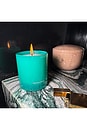 view 7 of 7 Herbaceous Scented Candle in 