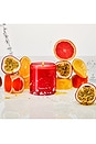 view 6 of 7 Passion Pit Scented Candle in 