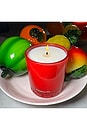 view 7 of 7 Passion Pit Scented Candle in 
