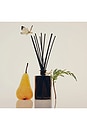 view 2 of 2 Hinoki Fantome Reed Diffuser in 