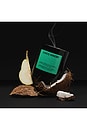 view 4 of 6 Coco Hinoki Standard 8.5oz Candle in 