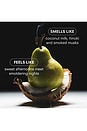 view 5 of 6 Coco Hinoki Standard 8.5oz Candle in 