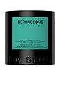 view 1 of 4 Herbaceous Standard 8.5oz Candle in 