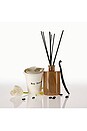 view 4 of 5 Vanilla Era Reed Diffuser in 