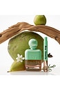 view 2 of 3 SPRAY PARA VIAGEM COCO HINOKI in 