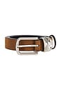 view 3 of 3 Boyfriend Belt in Tobacco & Silver