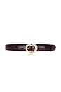 view 1 of 3 Love Belt in Raisin & Gold