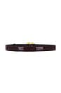 view 2 of 3 Love Belt in Raisin & Gold