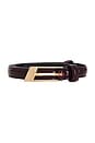 view 3 of 3 Slanted Belt in Raisin & Gold