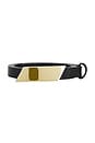 view 3 of 3 Solid Belt in Black & Gold