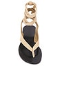 view 4 of 5 Tres Sandal in Sand Suede